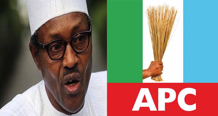 Perish Your Tenure Elongation Plot, PDP Cautions APC