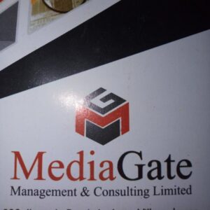 MEDIAGATE MANAGEMENT AND CONSULTING: WE ADDRESS ISSUES IMPORTANT TO OUR CLIENTS