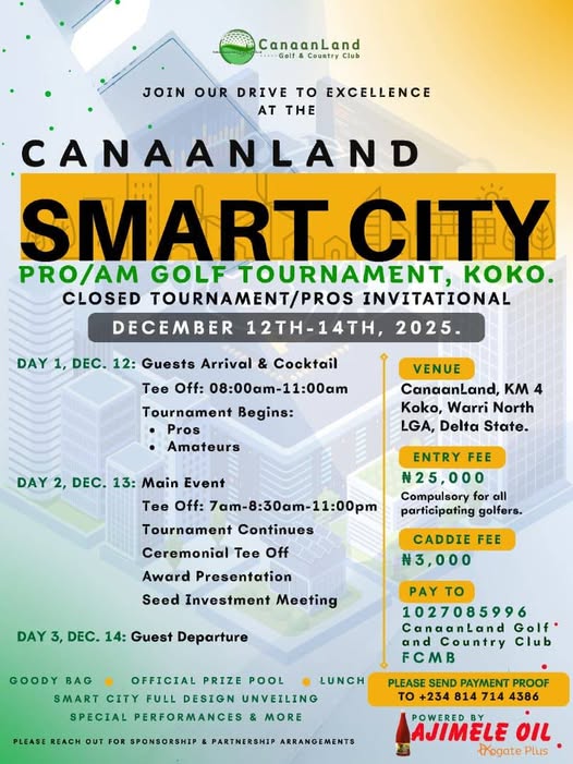 Subair named board chair of the year, as LIRS emerges top revenue agency