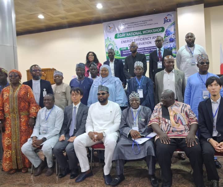 NIGERIA CAN GET MORE FROM 5,000MW THROUGH ENERGY EFFICIENCY — ECN